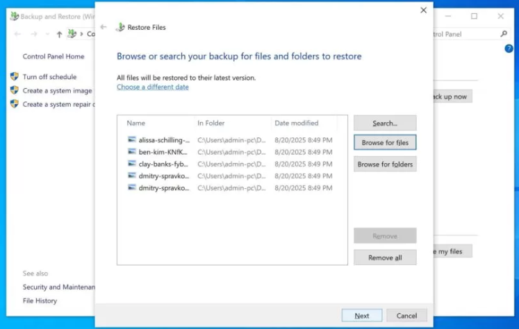 Select the files you want and click Next
